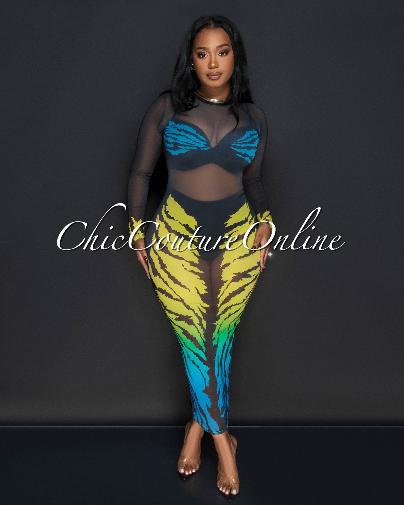 Kenja Black Multi Color Mesh Long Sleeves Maxi Dress