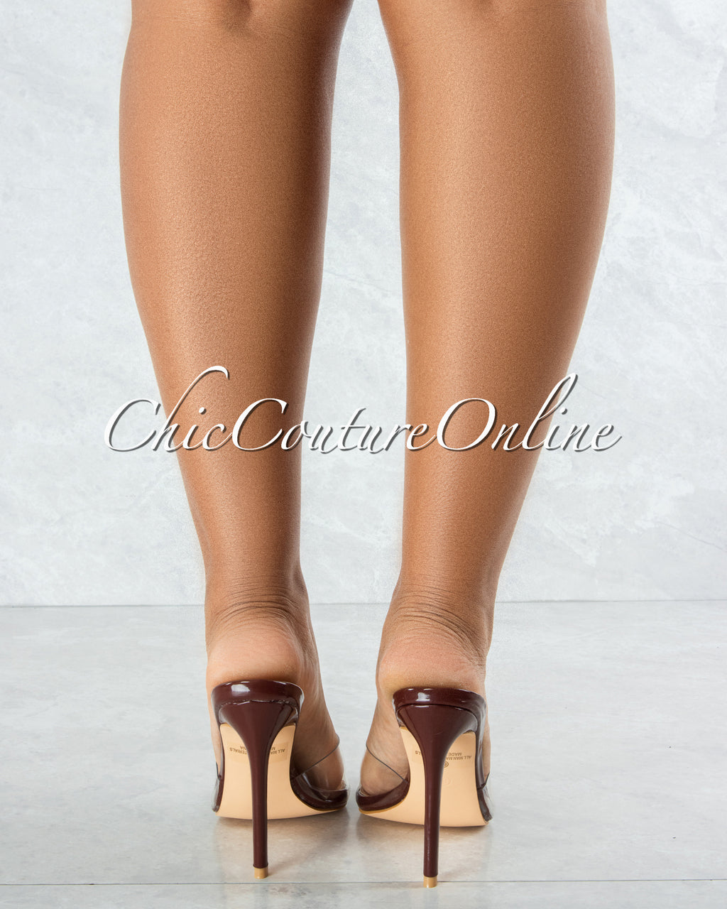 Echo Brown Sole Clear Upper Pointed Toe Heels